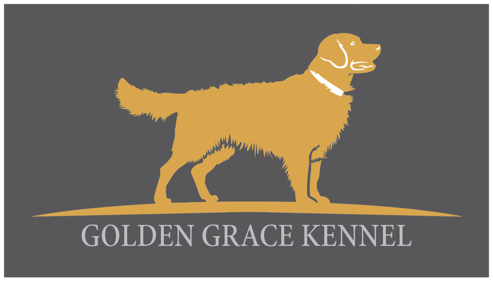 Golden Grace Kennel